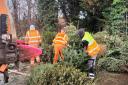 £112,000 has been raised over six years of tree collections.