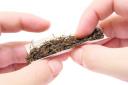 Stop smoking roll ups, urges county council