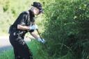 A body was found in Hatfield woodland