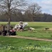 Hatfield House claim that drag or trail hunting, which is legal, was taking place.