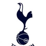 Tottenham old-boy Kanoute to follow Defoe to Spurs