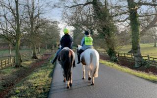 UK drivers have been told to be 'patient' when passing horses