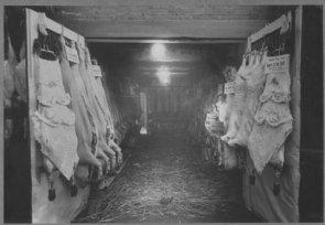 Butcher's slaughter yard, St Albans 1955