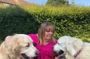 Heather Gray with her Golden Retrievers Darcy and Summer