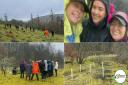 More than 120 volunteers joined in with the tree planting