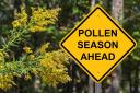 Check the pollen count forecast in York before you head out this week