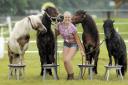 Horse and pony displays at Willows Farm Village
