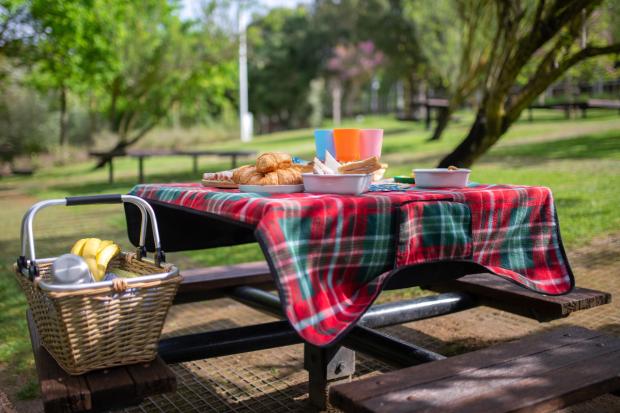 St Albans & Harpenden Review: A picnic laid out on a bench. Credit: Canva