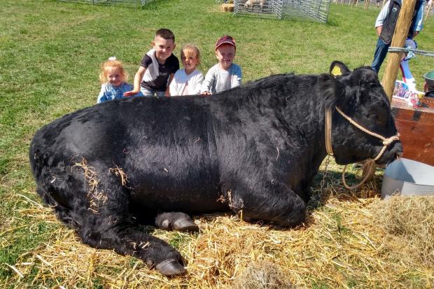 Local kids Skyler, Ella, Harry and Lucas get up close to the exhibits. Picture: Western Telegraph