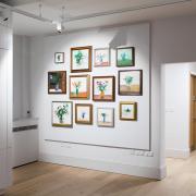Jane Glynn artworks on display at St Albans Museum + Gallery