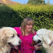 Heather Gray with her Golden Retrievers Darcy and Summer