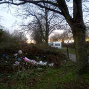 Litter strewn in bushes near the caravans