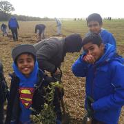Muslim association helps plant 15,000 trees in Sandridge forest