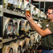 Gallery: More than 35,000 pints sold at St Albans Beer Festival 2014