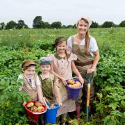 Families can enjoy the Dig for Victory event at Willows Farm